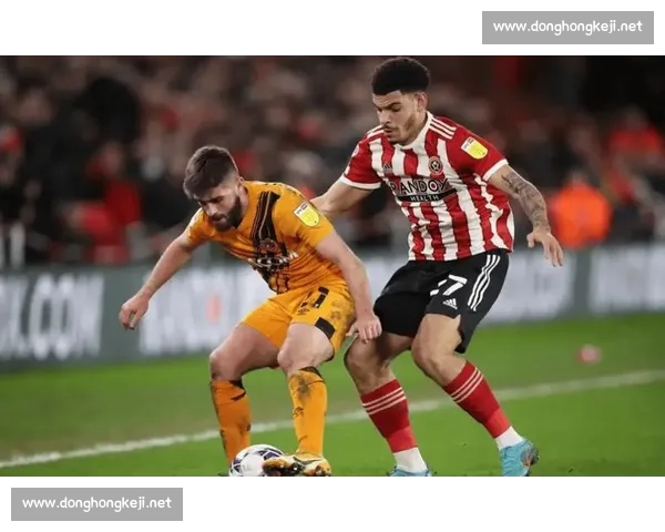赫尔城主场迎战狼队英冠焦点对决胜负悬念拉满球迷期待火星撞地球般较量
